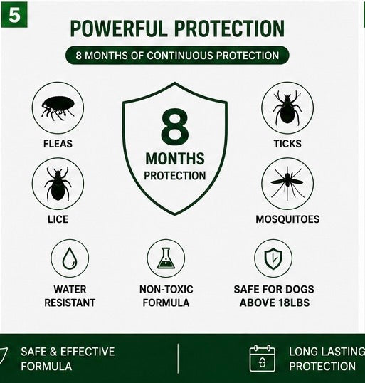 Premium Flea & Tick Collar for Large Dogs | 8-Month Protection (2-Pack)
